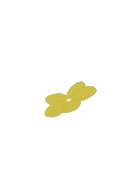 花の画像